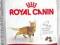 Royal Canin Fit 32 - 10kg.