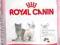 Royal Canin Kitten 36 - 10kg.