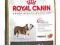 Royal Canin, Bulldog 24 - 12kg. EDUC - Gratis !!!