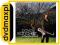 dvdmaxpl DAVID SANCHEZ: CULTURAL SURVIVAL (CD)