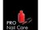 PRO Nail Care: Salon Secrets of the Professionals