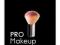 PRO Makeup: Salon Secrets of the Professionals (PR