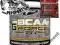 TREC BCAA G-FORCE 300G L-GLUTAMINE AMINOKWASY