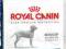 Royal Canin, MAXI DERMACOMFORT,12kg. +EDUC