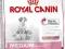 Royal Canin, MEDIUM STARTER,12kg.