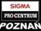 Sigma 17-70 F2.8-4 HSM Sony + filtr UV +statyw /Pń
