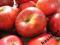 Jabłoń domowa Rajka sprzedaż wiosna jesień W