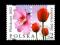 2002 3833 Philakorea - TULIPANY - KWIATY POLSKA