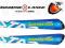 NARTY DYNASTAR SPEED OMEGLASS WC FIS + RC 15 165cm