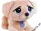 EPEE Rescue Pets MAMA ze Szczeniaczkami LABRADOR