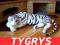 TYGRYS śnieżnobiały  dł całk140cm na Dzień Dziecka
