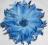 BROSZKA niebieski kwiatek -  nowa