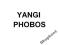 YANGI YANG METIN2 PHOBOS S18 BEZ CZEKANIA