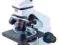 Szkolny Metalowy Mikroskop Biolight 200 +PREPARATY