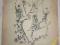 SCHAFER - ART " BOURLESQUE " 1947