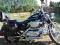 Harley Davidson Sportster 1200 XL Custom