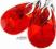 NOWE SWAROVSKI piękne ozdobne kolczyki SREBRO RED