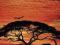 Słoń Słonie Indie Afryka RÓŻNE plakaty 91,5x61 cm