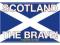 Szkocja - Flaga piłkarska - plakat 91,5x61cm -91