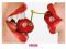 Pacha - cherries plakat 91,5x61 cm