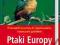 (-50%) Ptaki Europy Środkowej