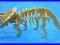 DINOZAUR PRZESTRZENNE puzzle 3D TRICERATOPS 2067