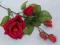 Gałązka róży welurowej z pąkami-67 cm.