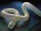 Przewód wąż odciąg trocin 125 - PCV 6 mb