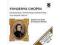 CD CHOPIN Dang Thai-Son, Stanislav Bunin