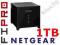 Netgear Stora MS2000 Serwer Plików+1TB BitTorrent
