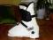 buty narciarskie  KOFLACH  roz 43  dł. 27,5 cm  8
