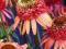 Echinacea Irresistible -niesamowita jeżówka pastel