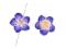 FM170 Fimo kwiatki ciemny fiolet 8x20mm