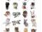 CLASSIC CAT BREEDS - Plakat Plakaty PPY-PP30733