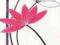 Plakat obraz 13x35cm PAA-ABU-1112 FUCHSIA LOTUS FL