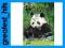 ANIMAL PLANET: PANDA - ULUBIENIEC ŚWIATA (DVD)