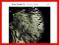 The River Of Anyder - Battaglia Stefano [nowa]