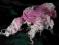 CALEZDONIA Szal z frędzlami 57x170 różowy