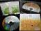 DE/ VISION  Devolution  (2 CD)         ideał