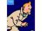 ADVENTURES OF TINTIN (75TH ANNIVERSARY) (10 DVD)