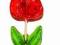 Lizak Tulipan 100gram Okazja Kwiatek 9szt ZESTAW