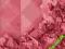 NYX Róż Powder Blush Bourgeois Pig