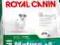 Royal Canin, MINI MATURE +8, 8kg.