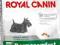 Royal Canin, MINI DERMACOMFORT, 10kg.