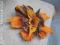 Broszka z filcu kwiat z merynosów i bursztynów