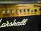 Marshall MG50 DFX