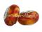 PD359 Lampwork koraliki modułowe ze wstążką mi