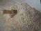 mąka żytnia typ 2000 Razowa - 1 kg