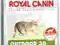 ROYAL CANIN OUTDOOR 30 4kg WARSZAWA