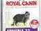 ROYAL CANIN SENSIBLE 33 4kg WARSZAWA